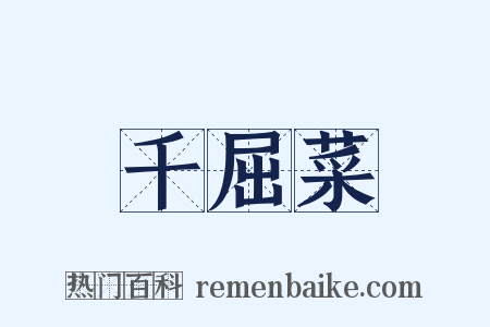 千屈菜是什么意思的图片